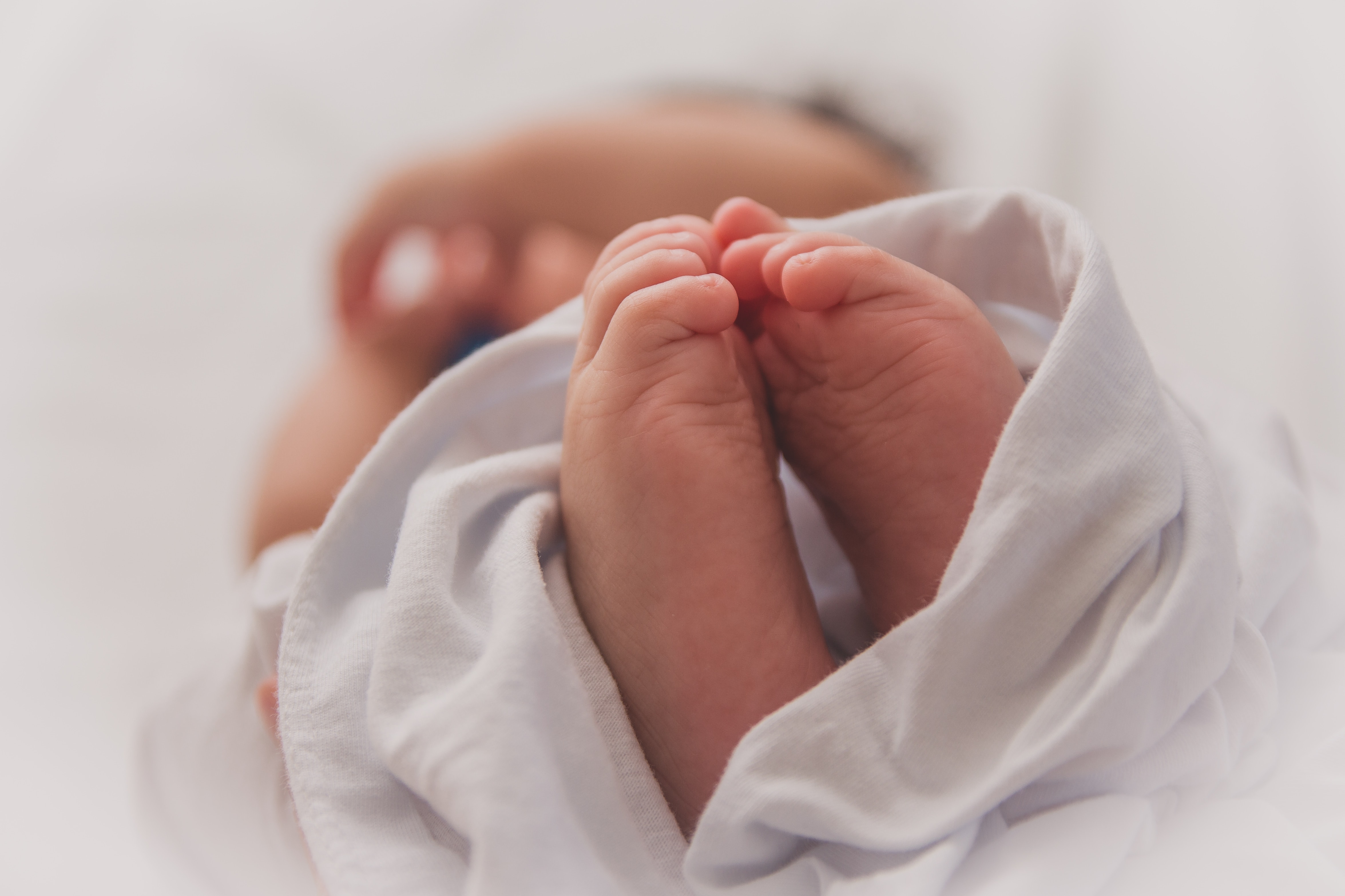 Mother, where are you? cover image